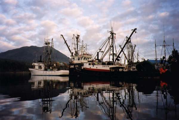 Fishboats at dock-600.jpg